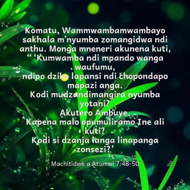 @Andy🇲🇼