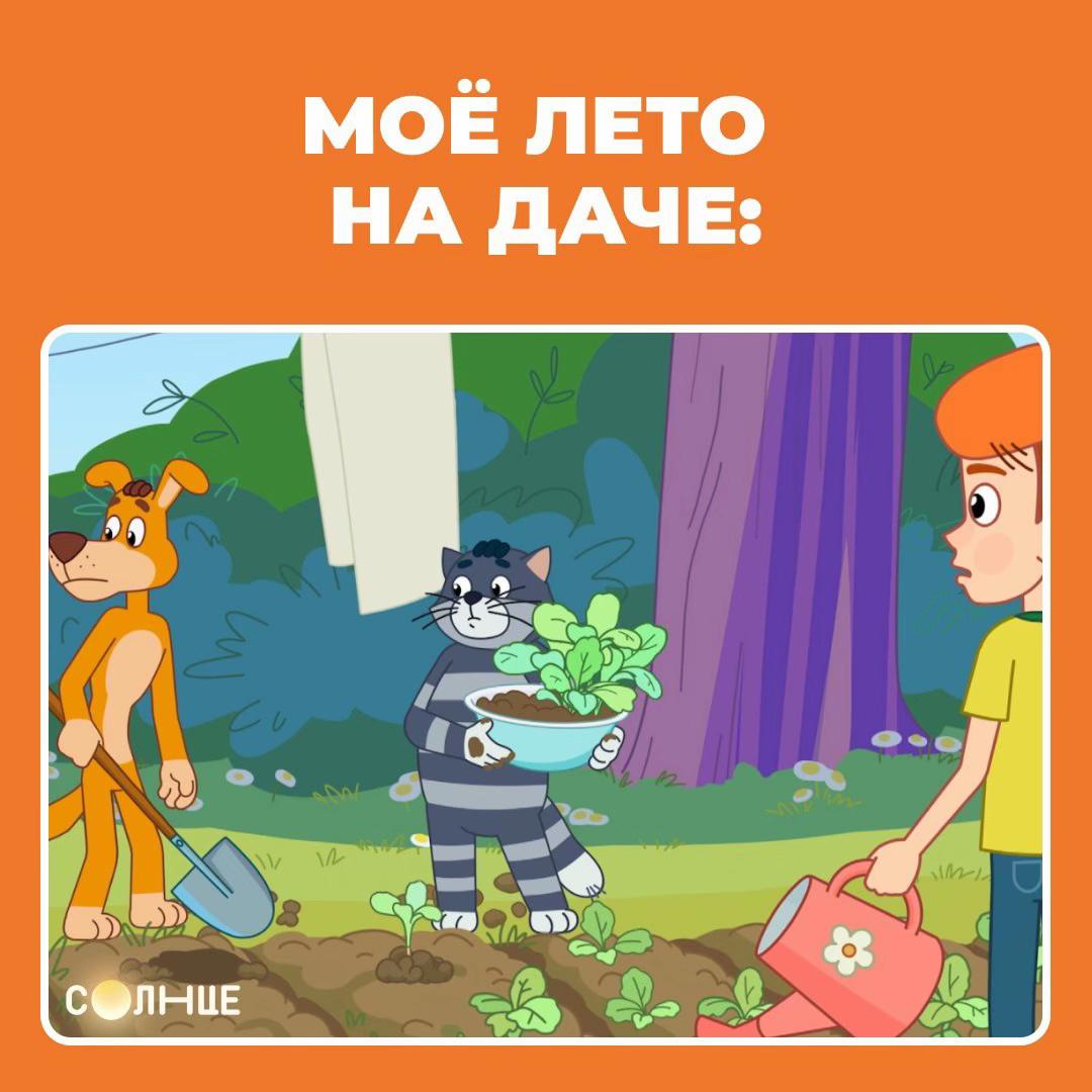 @Телеканал СОЛНЦЕ