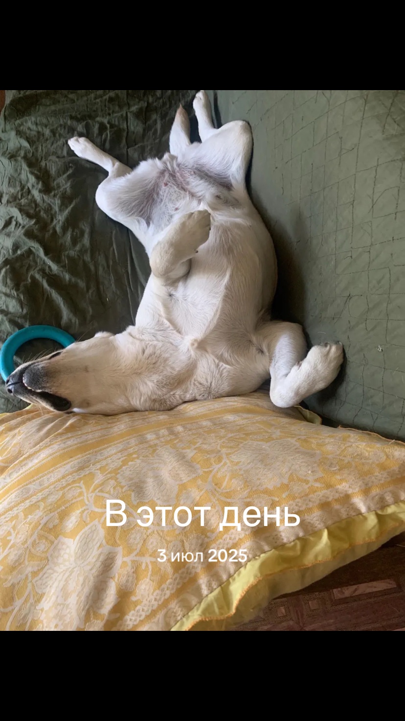 @Oksana