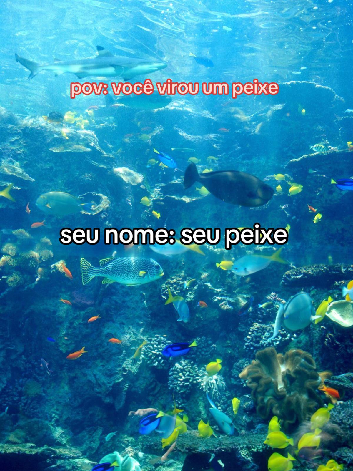 @exemurvy