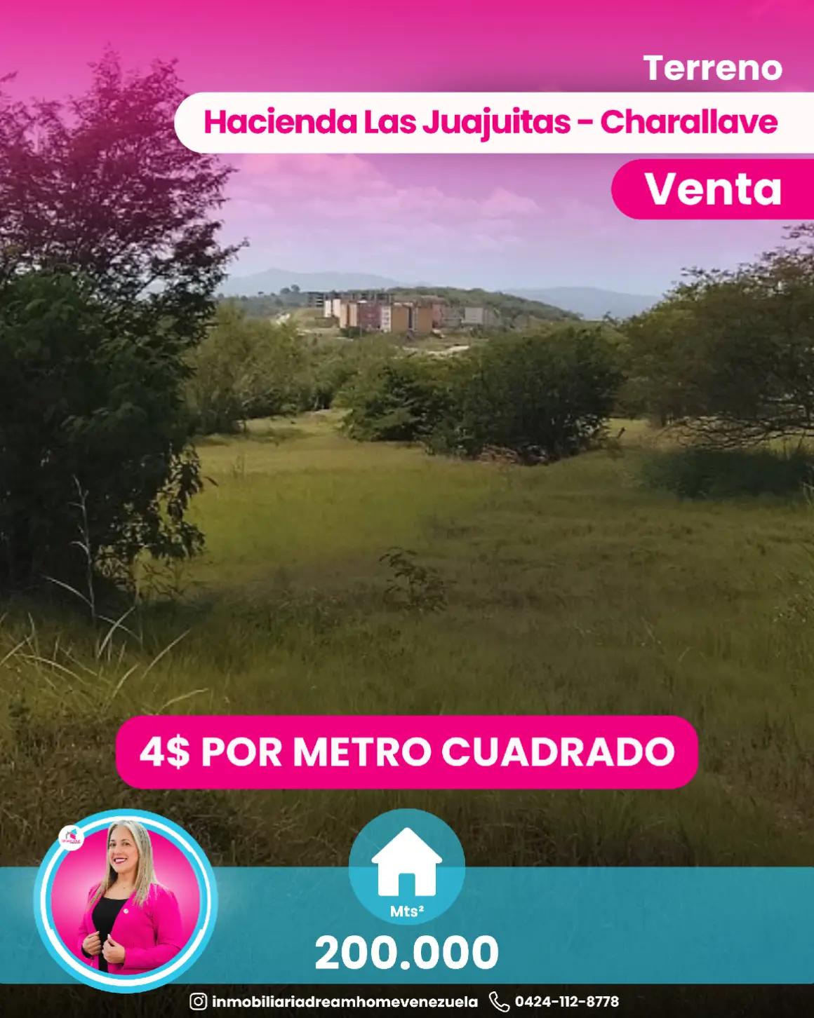 @Dream Home Venezuela