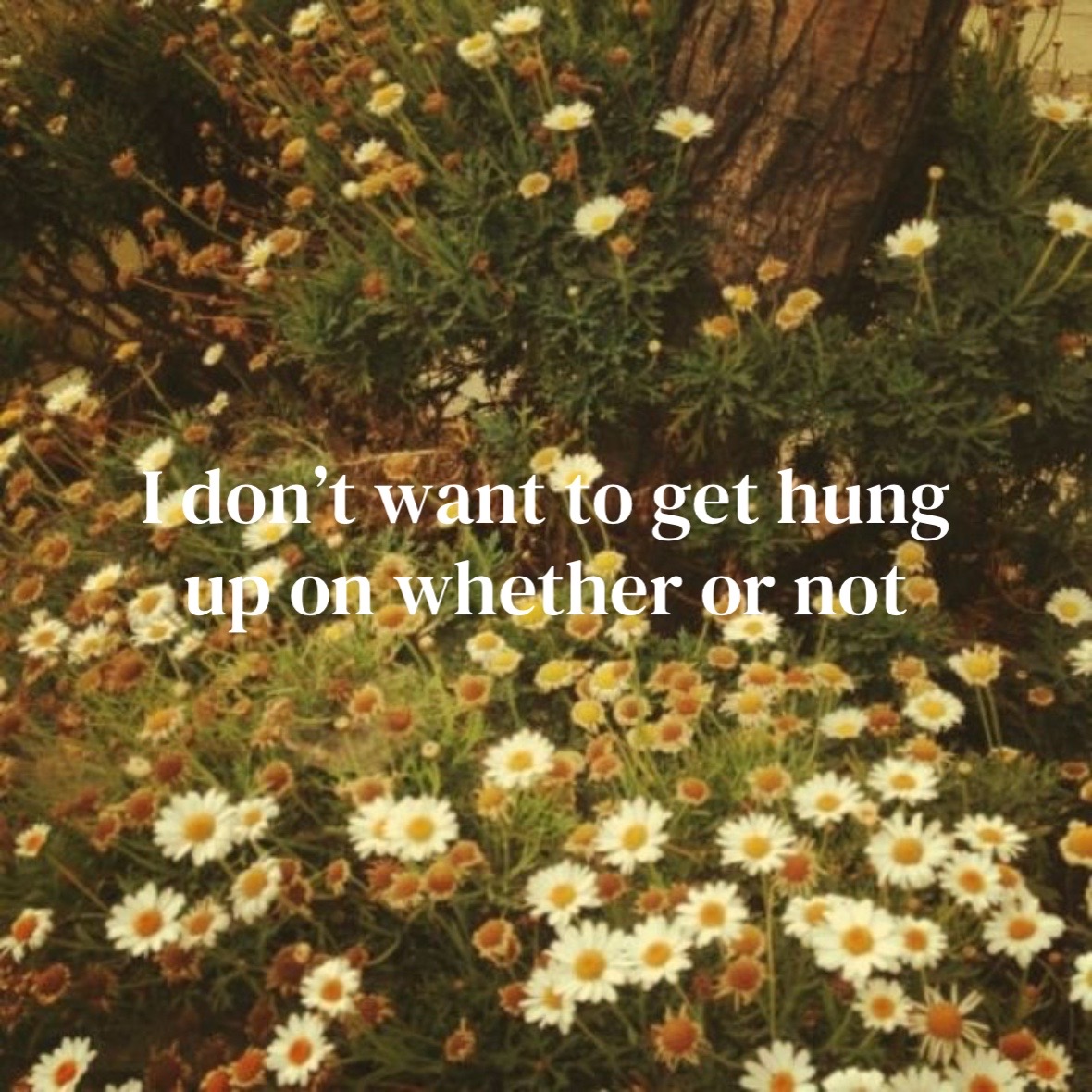 @🪷