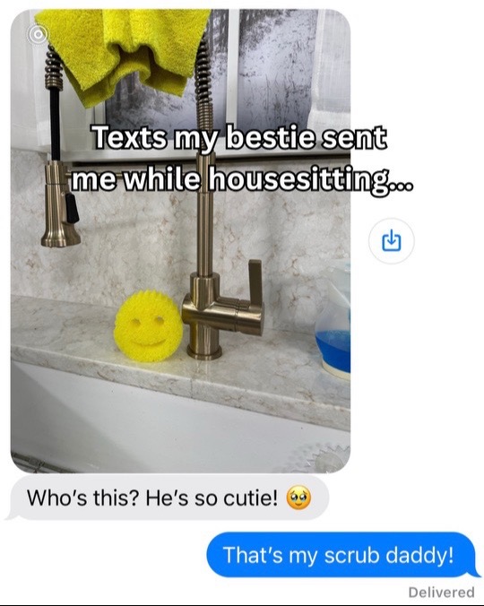 @Scrub Daddy