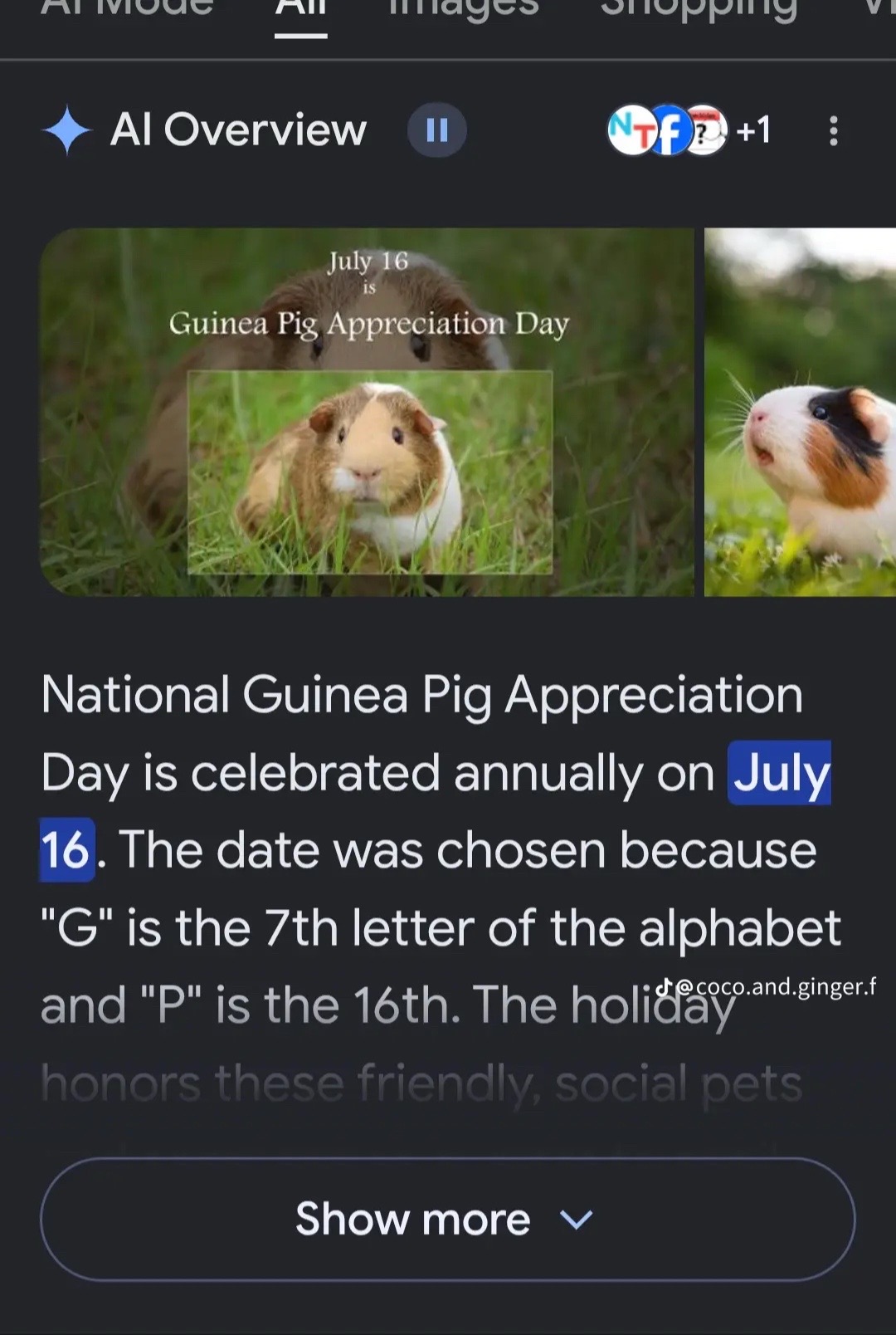 @️Sam