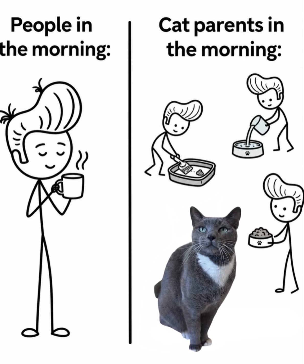 @purrfectinfluencer