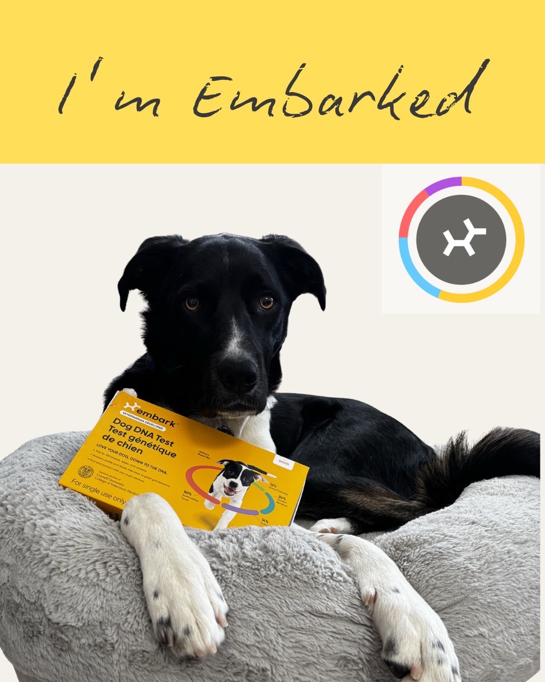 @Embark Vet