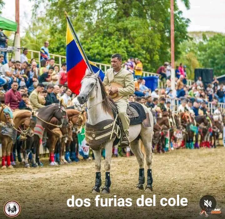 @Juan Anzola 🤠
