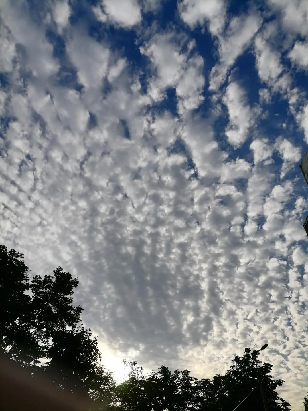 @Алехандро Регіс