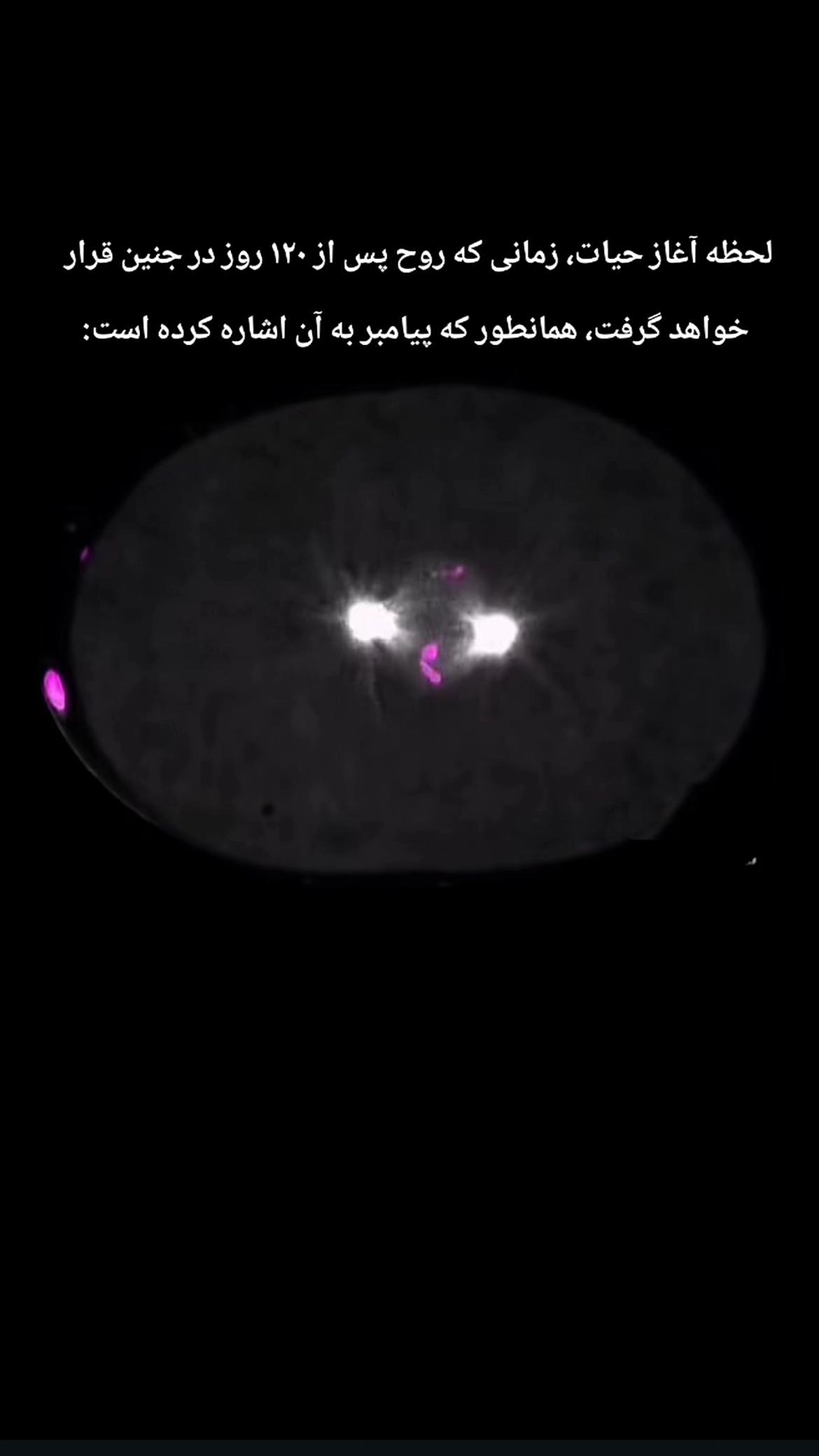 @𓆩ـمدᥫ᭡آحـ𓆪