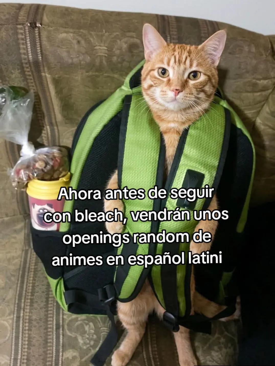 @Mariliz98UwU