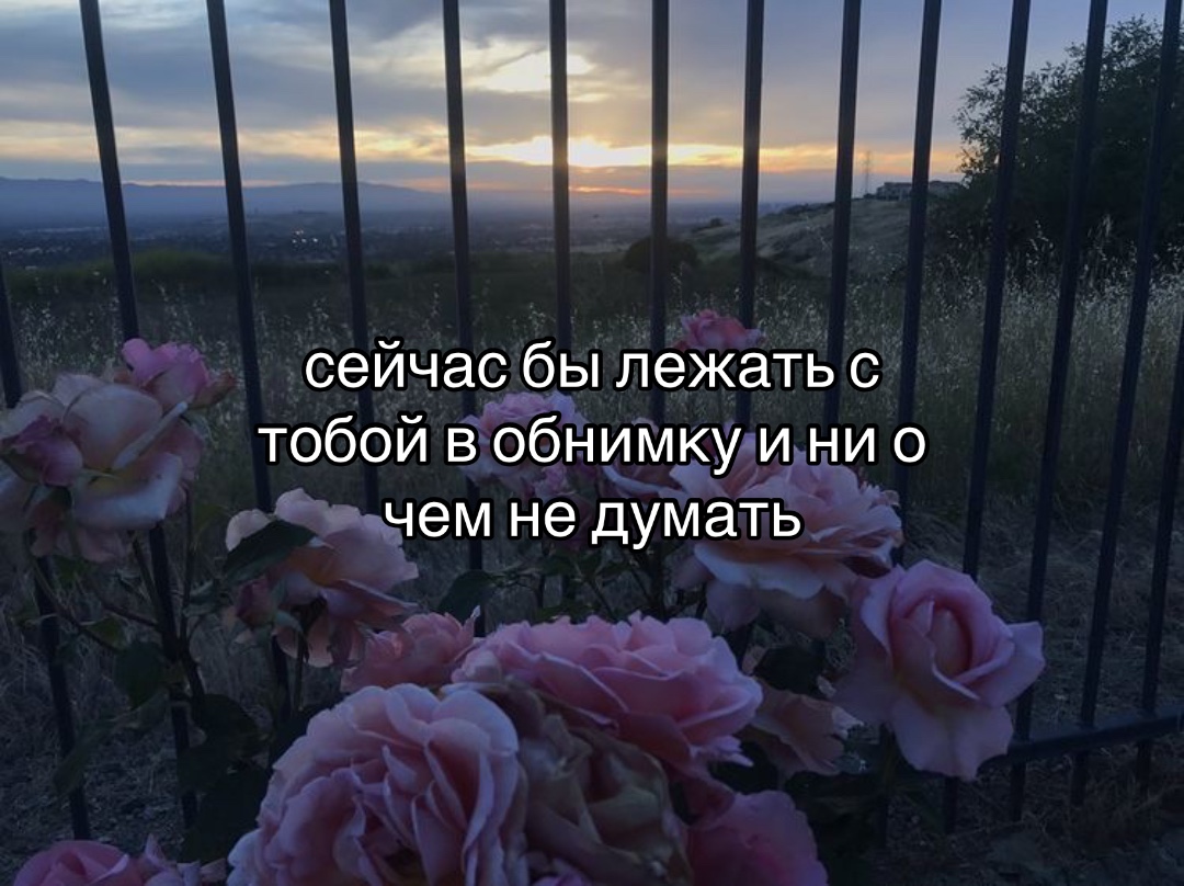 @I hate you.