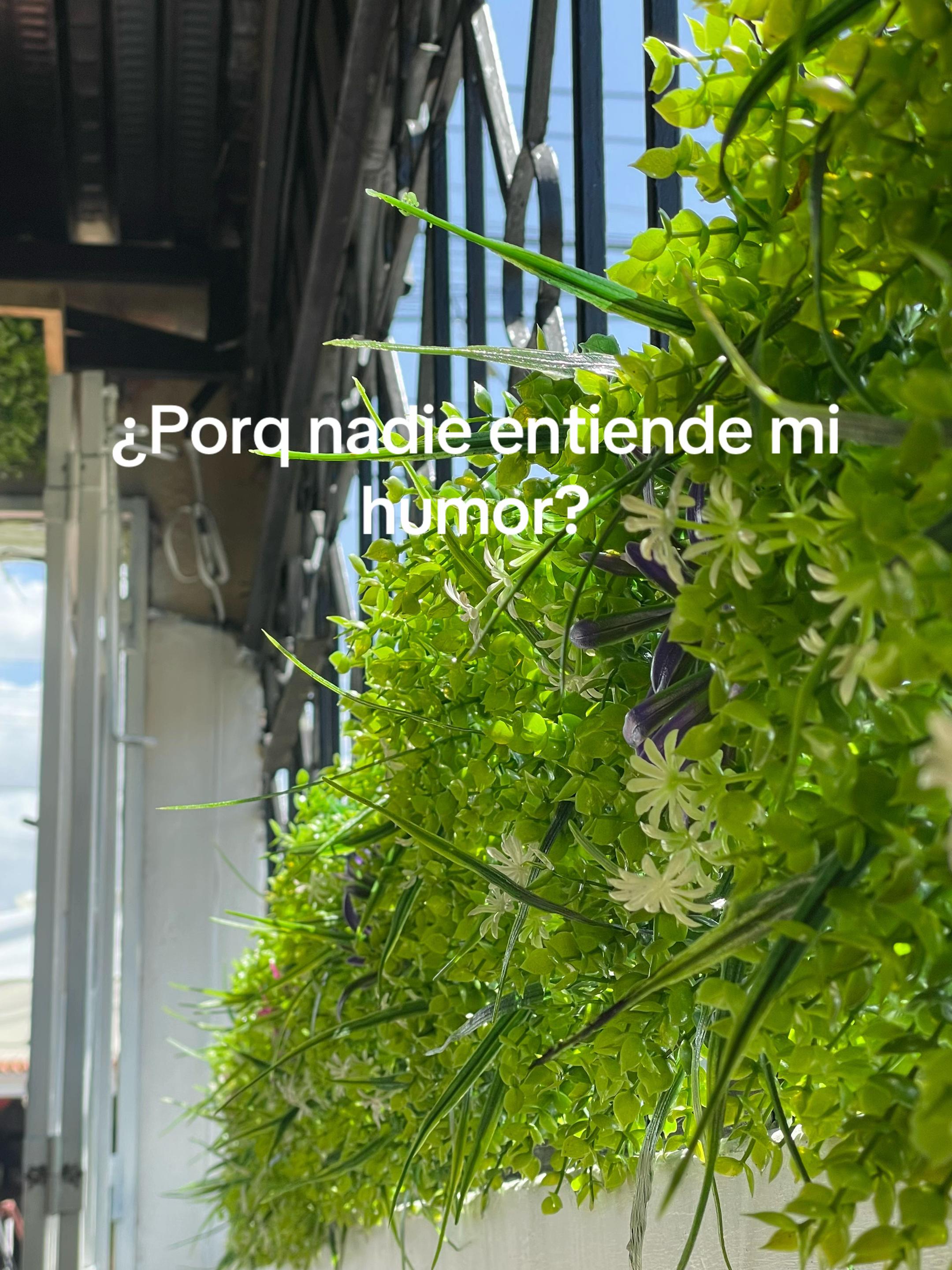 @OSCA'R