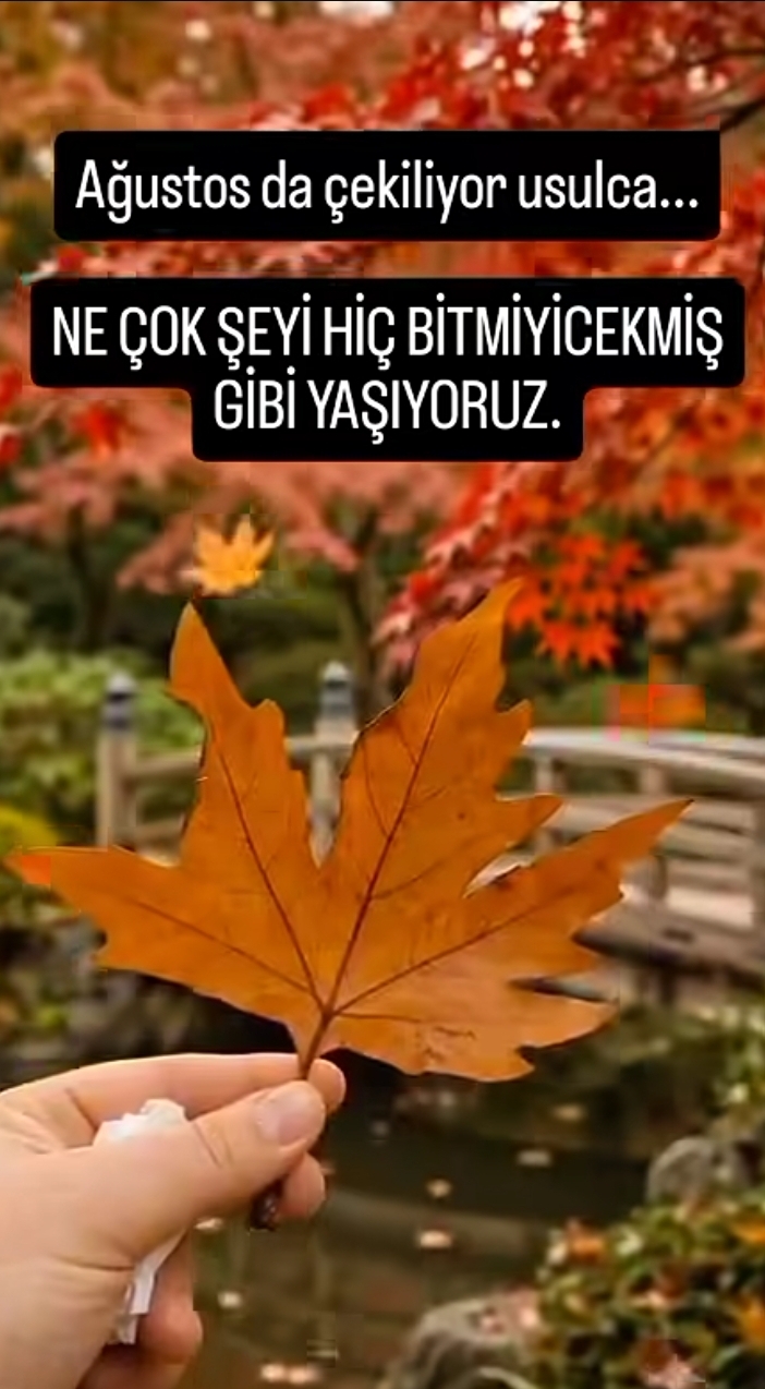 @mecnun