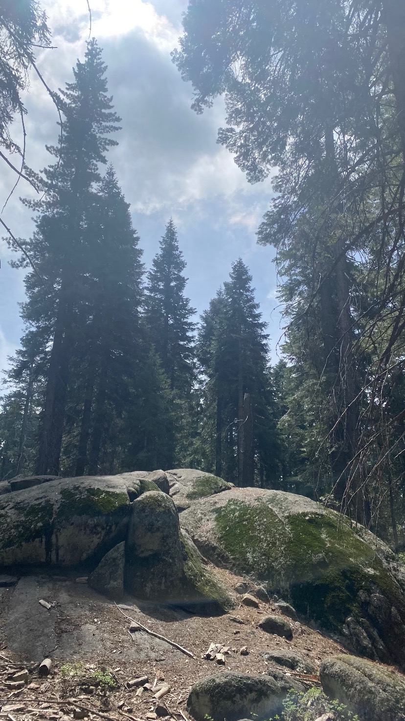 @𝙂𝙖𝙗𝙗𝙮