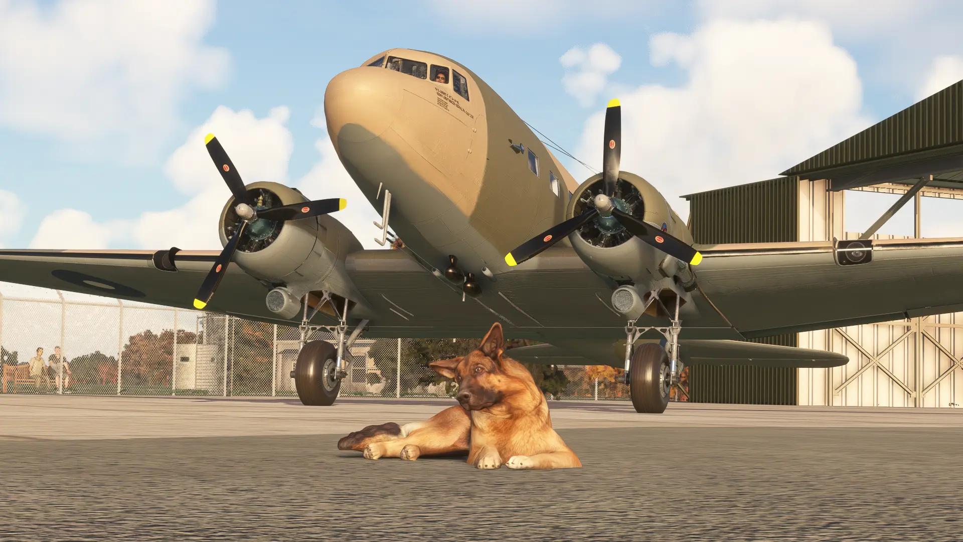 @SQN LDR JAYDEN