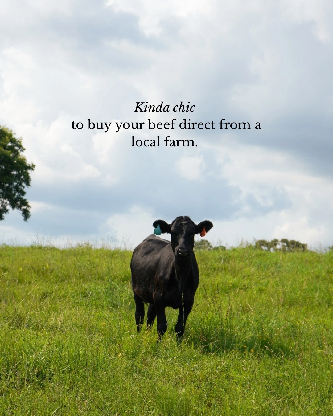 @Lily Hill Farm