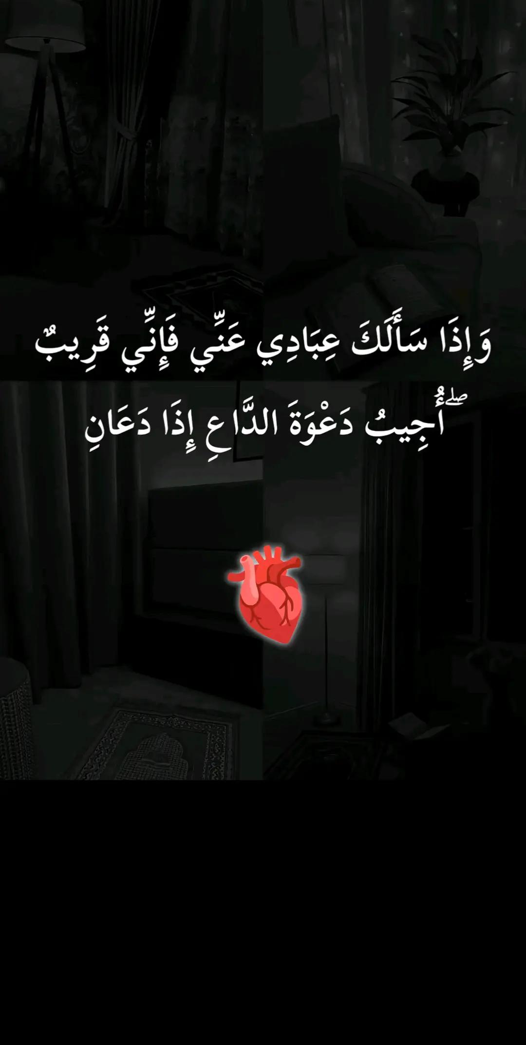 @الداعي إلى الله