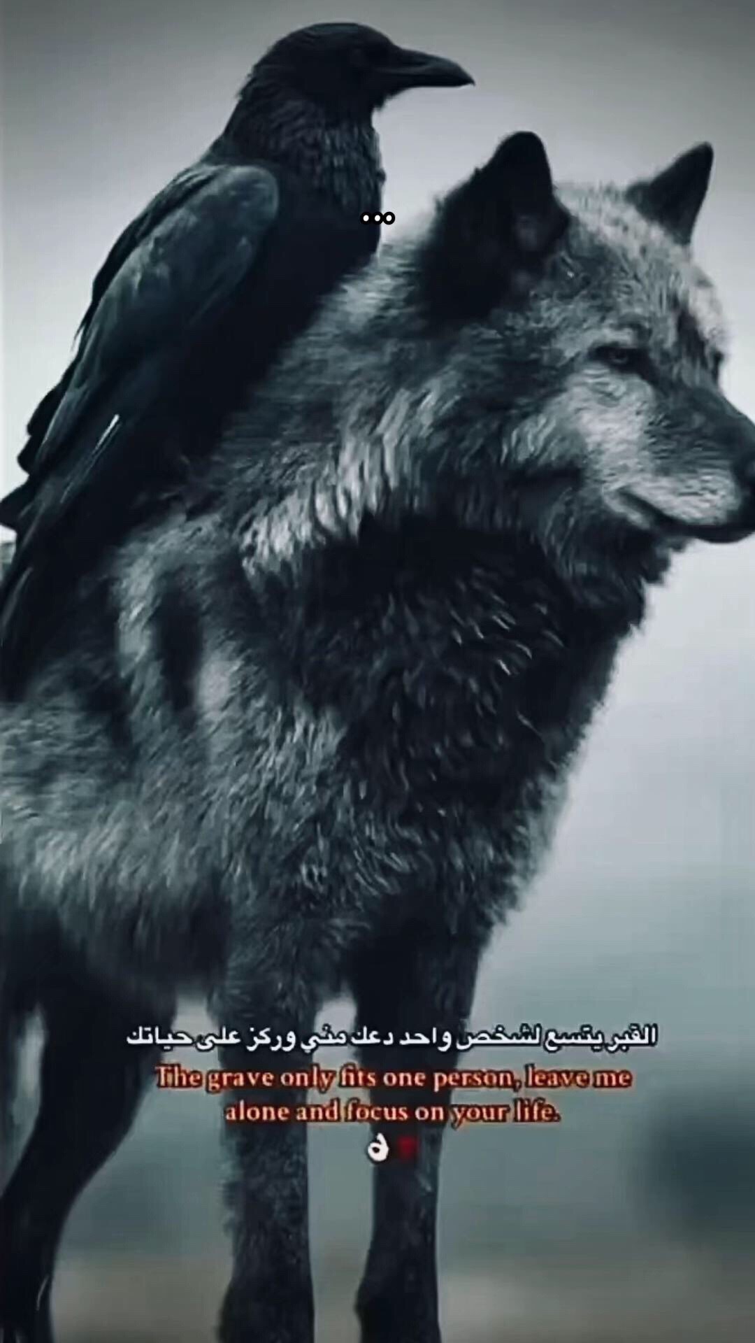 @حسين ||Hassen ✞
