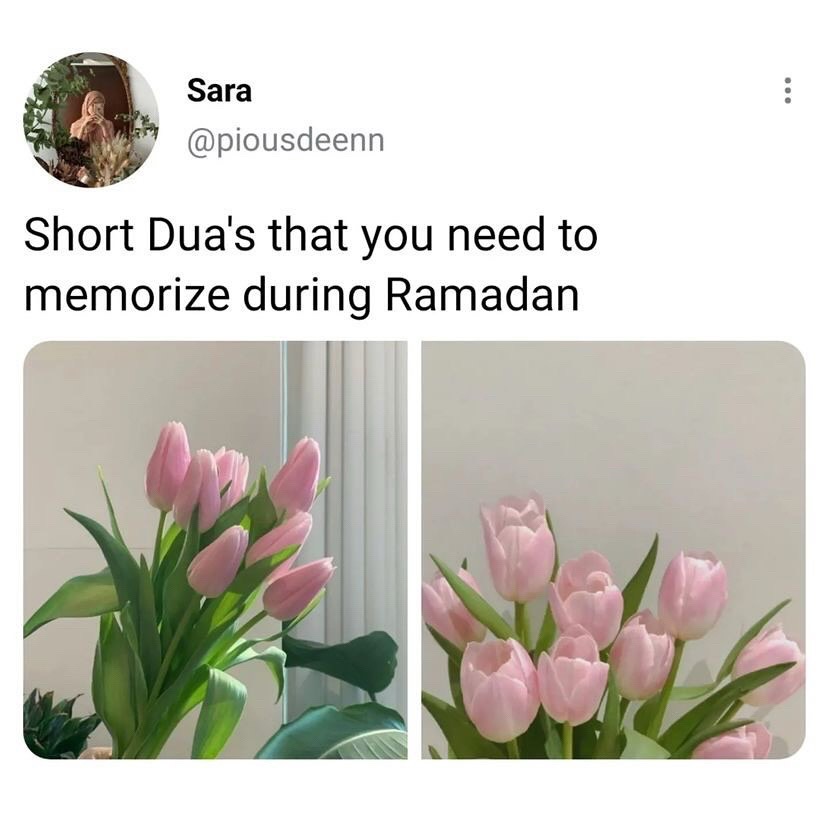 @Peace_exists • القرآن