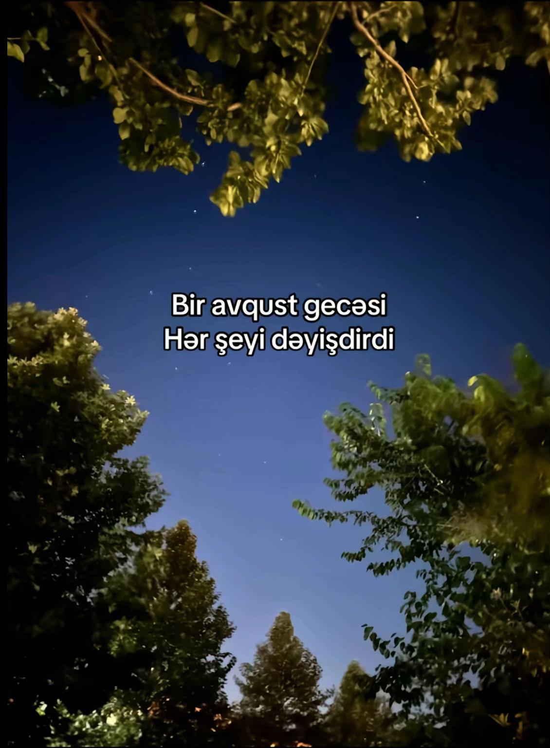 @Babayev🛫