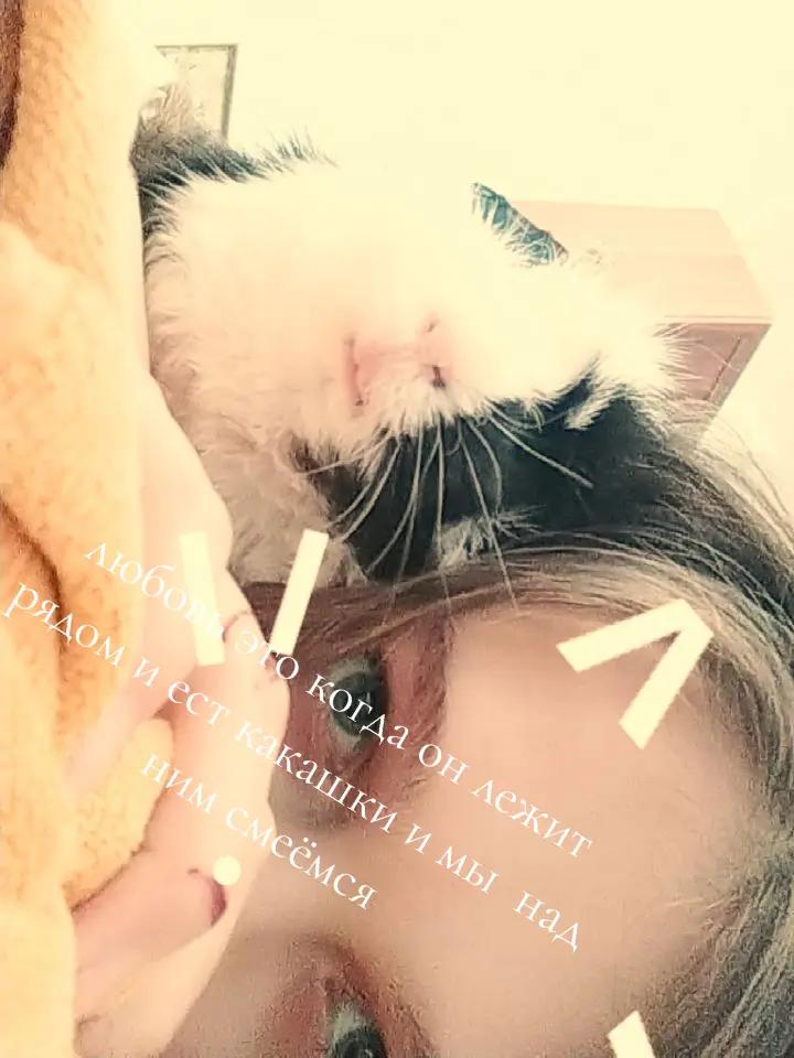 @🌺~여름~🍥