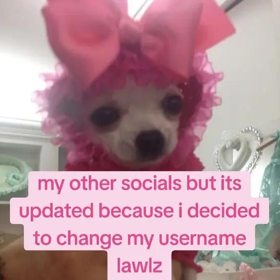 @lesbian tboy spike