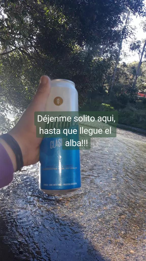 @Nibaldo Dami&aacute;n