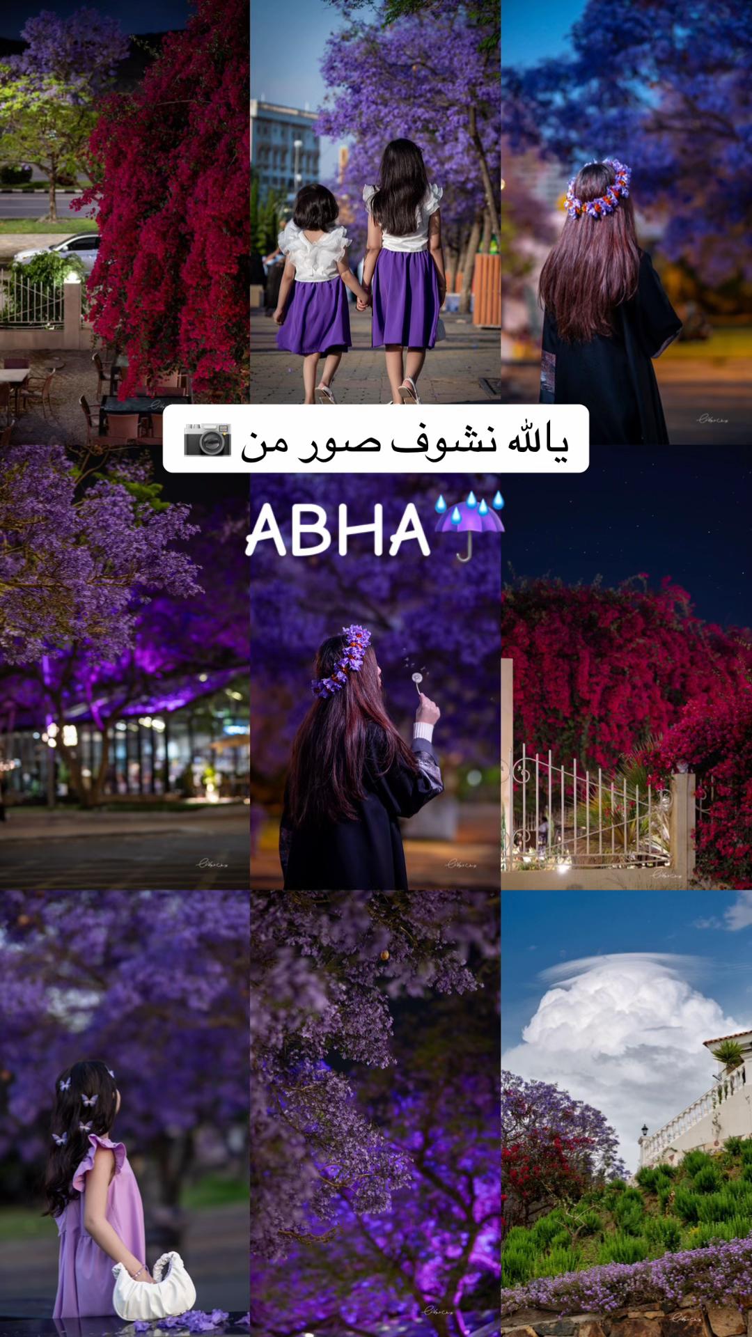 @يوسف حوكاش