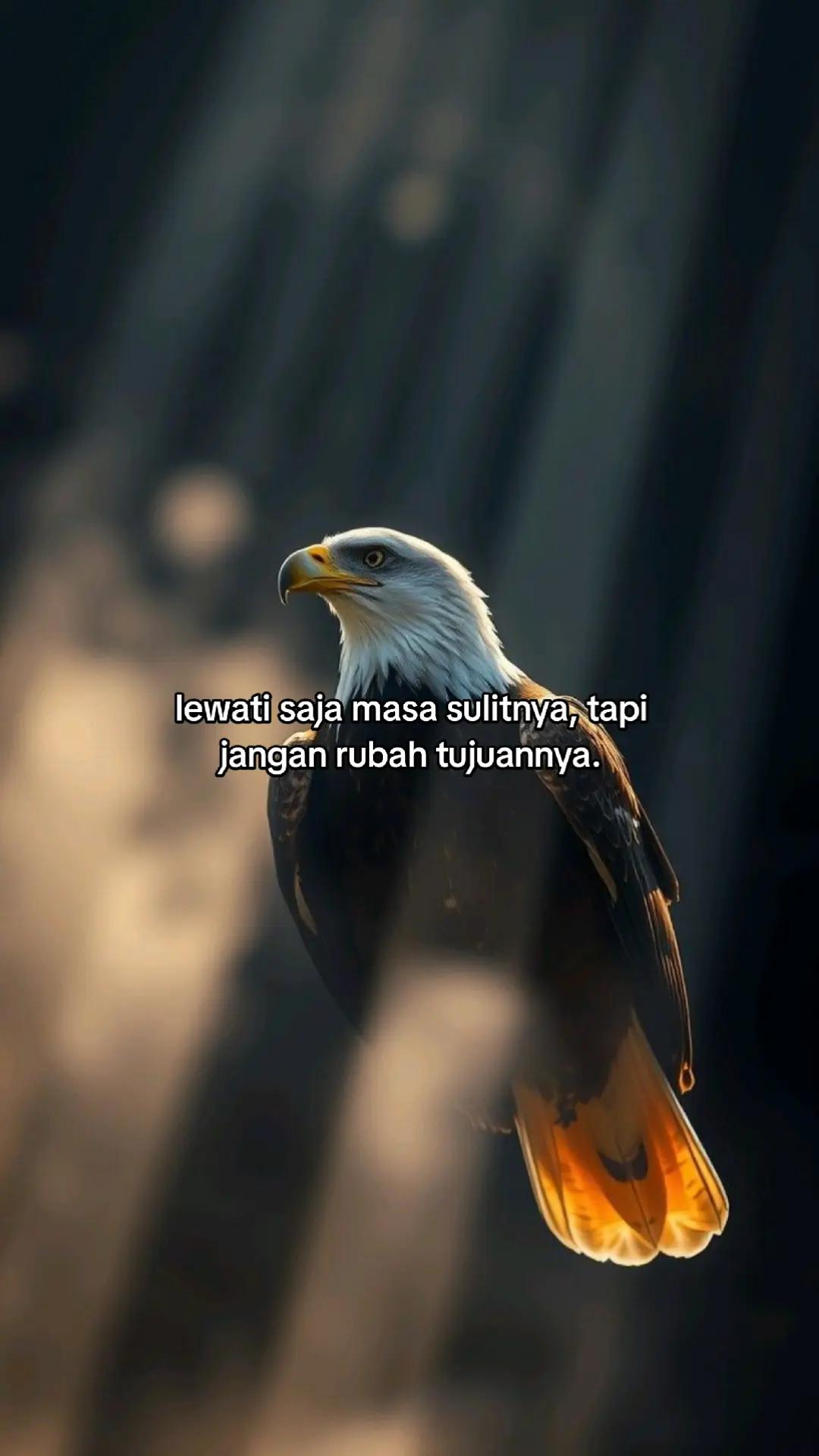 @wisnu23