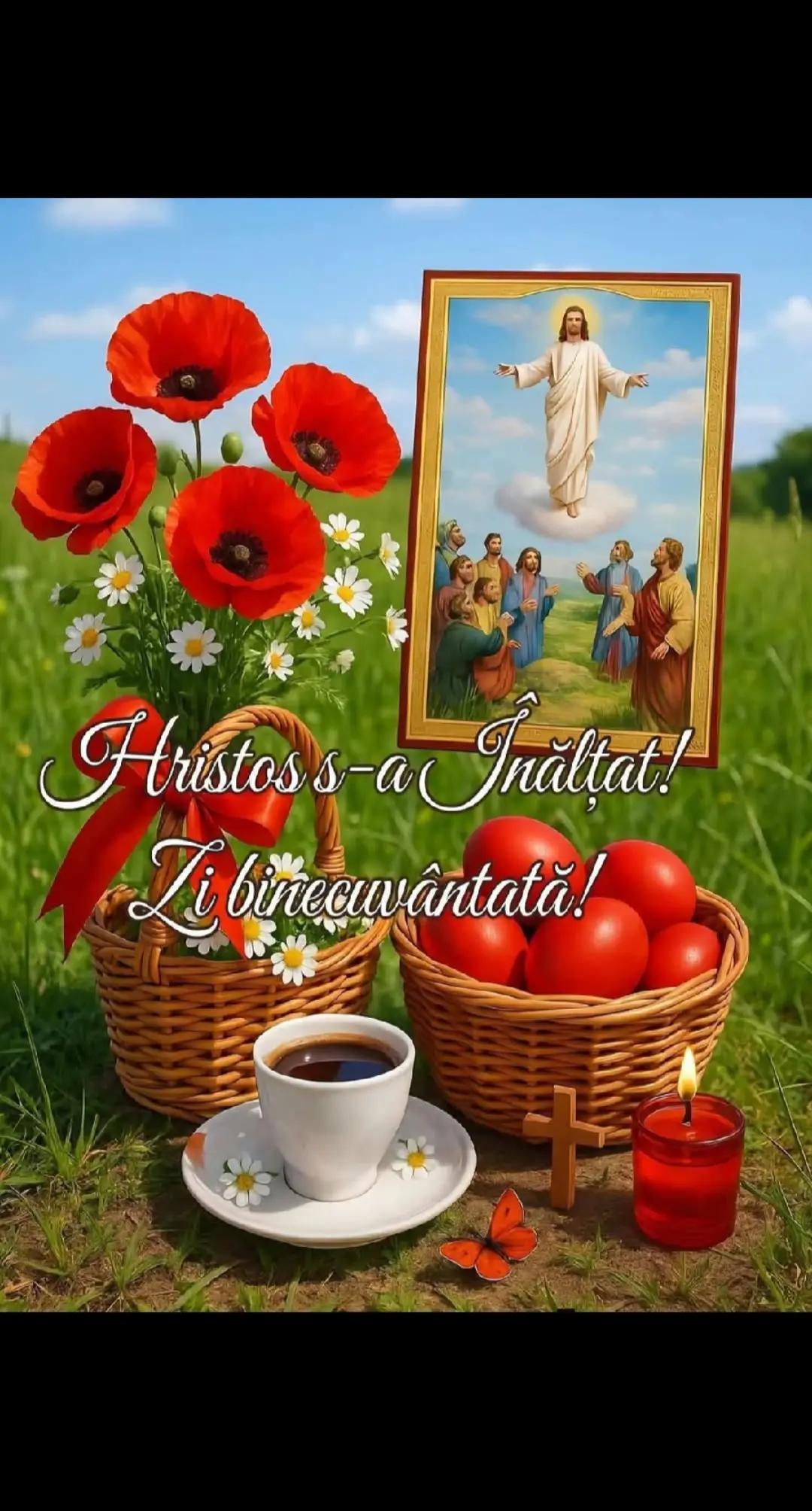 @Bozgonete Petruta