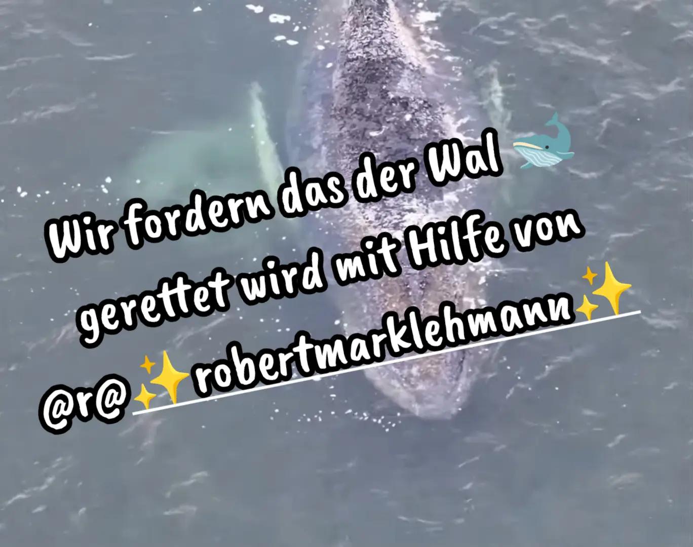 @die.bullybande.🐕®🥷🏼404🥷🏼