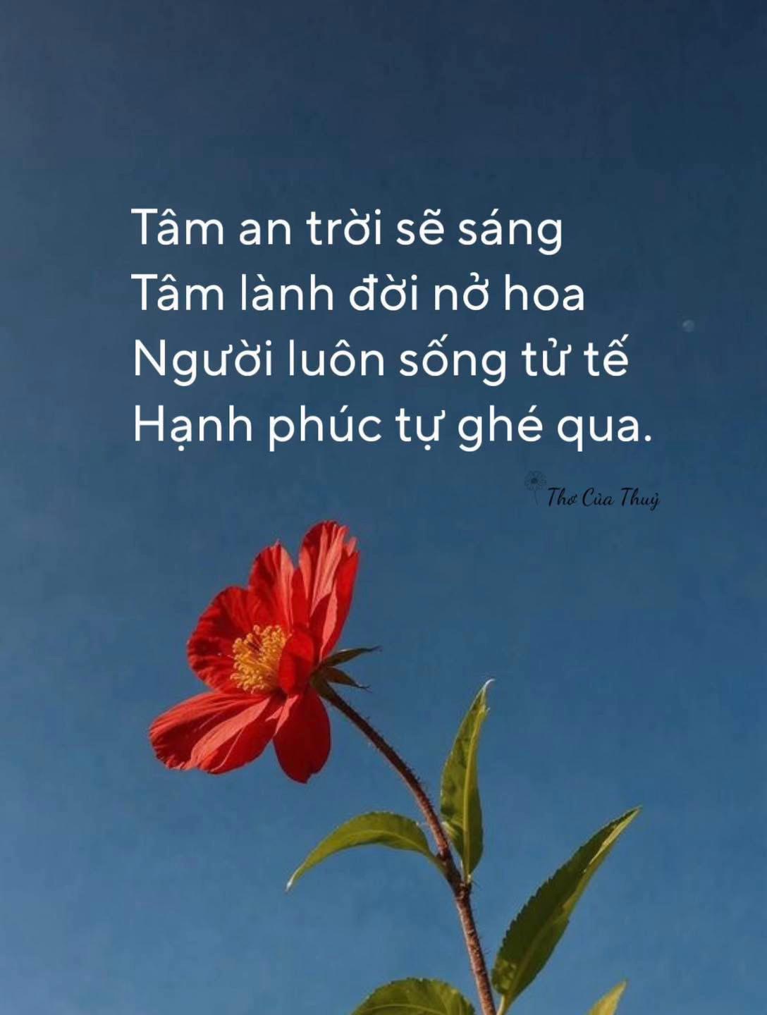 @🎶KIM UYÊN 🎶🇦🇺