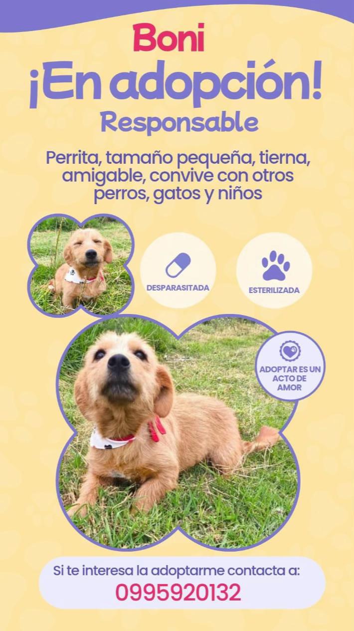 @Amigoscaninos_Ambato