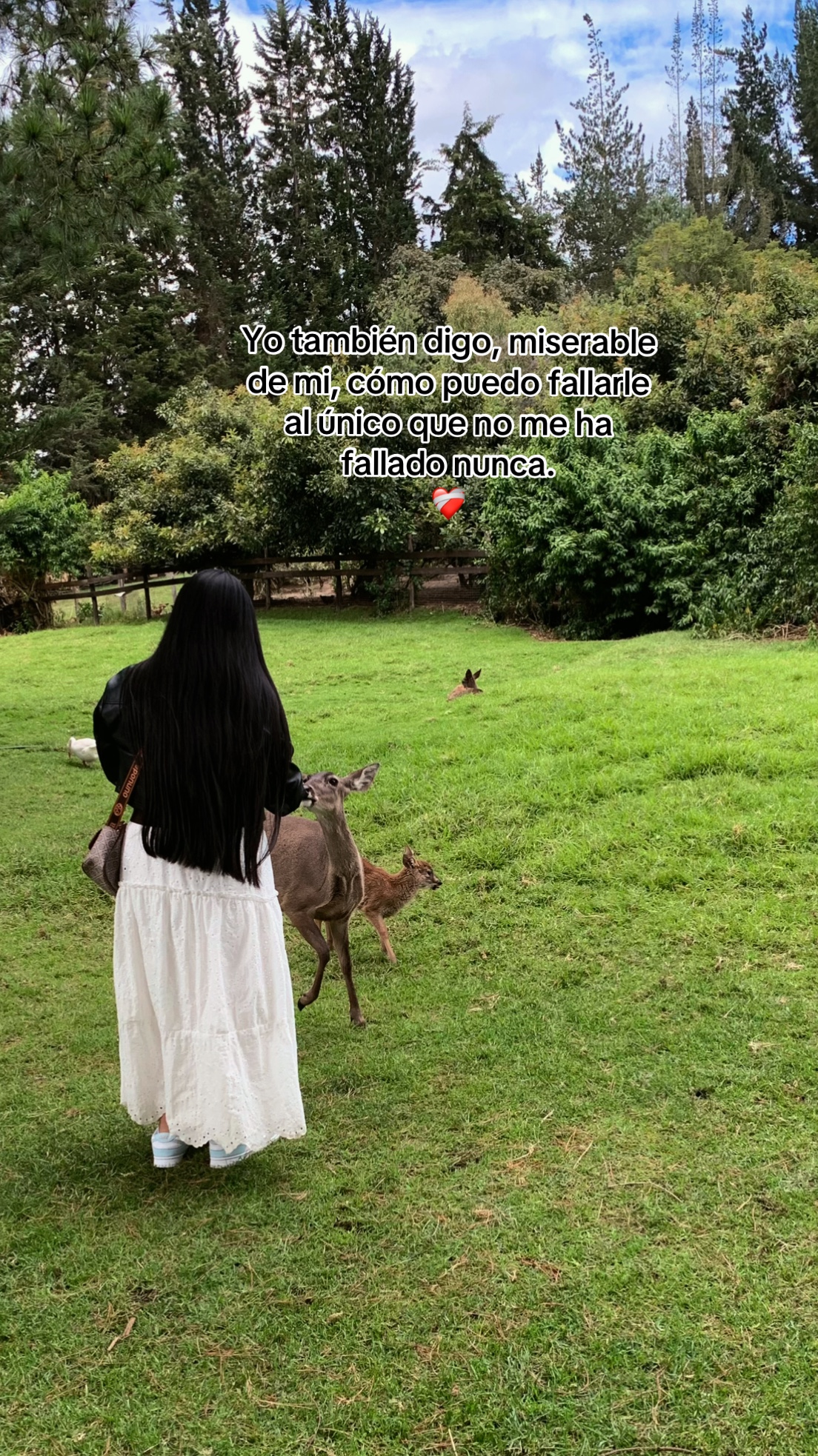 @𝓔𝓿𝓮𝓵𝔂𝓷🌷