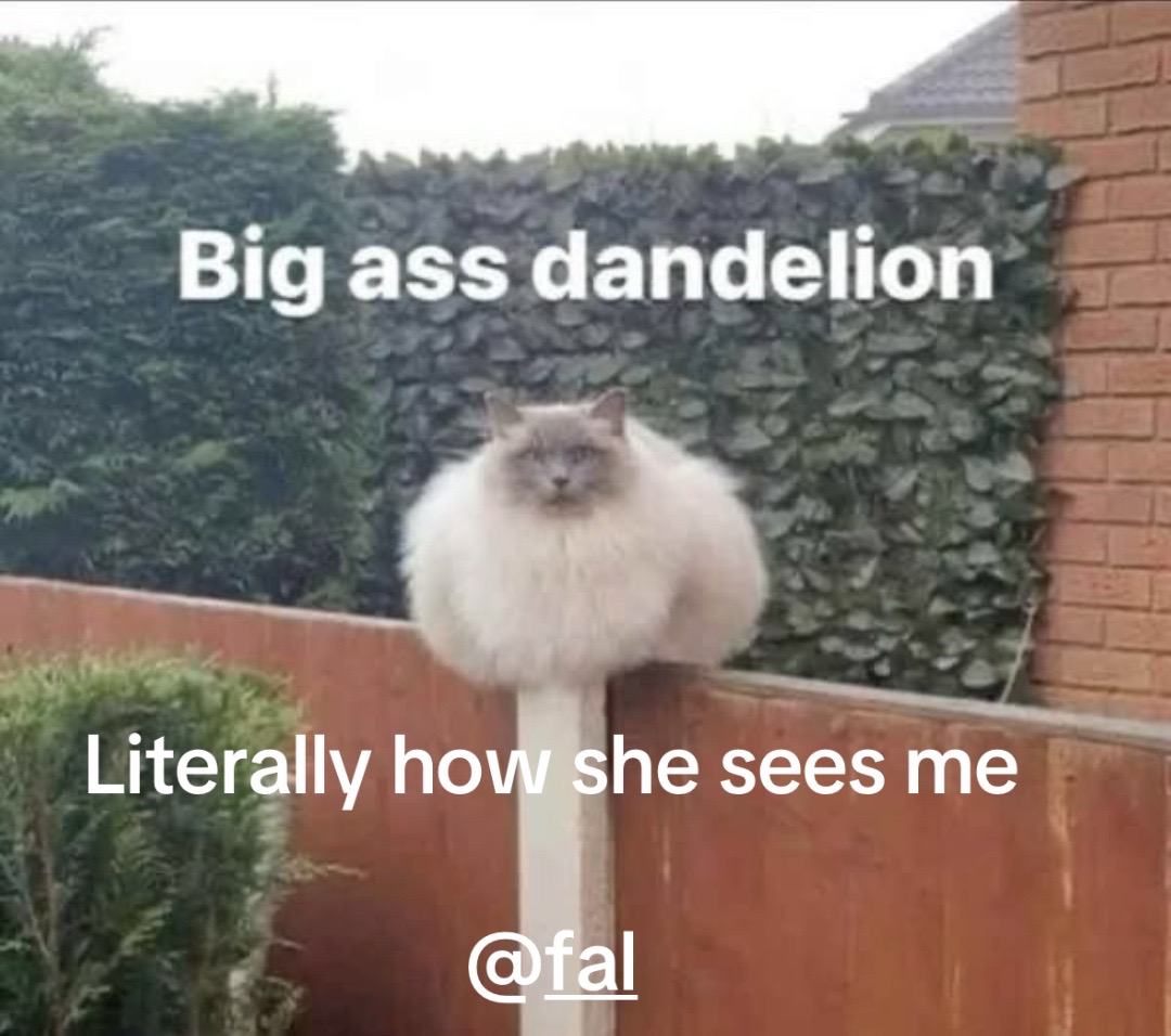@Luke