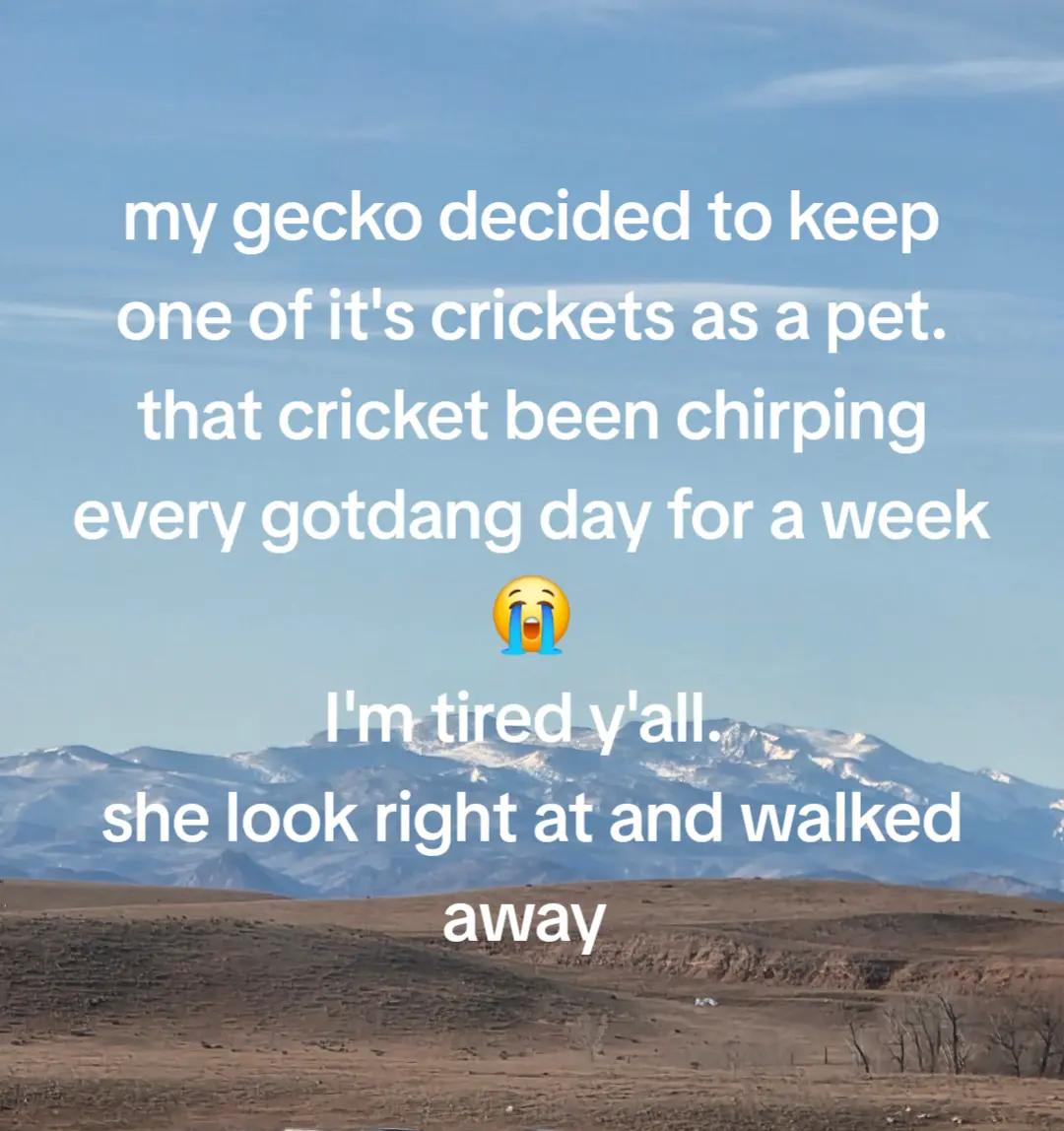 @auriravenwood