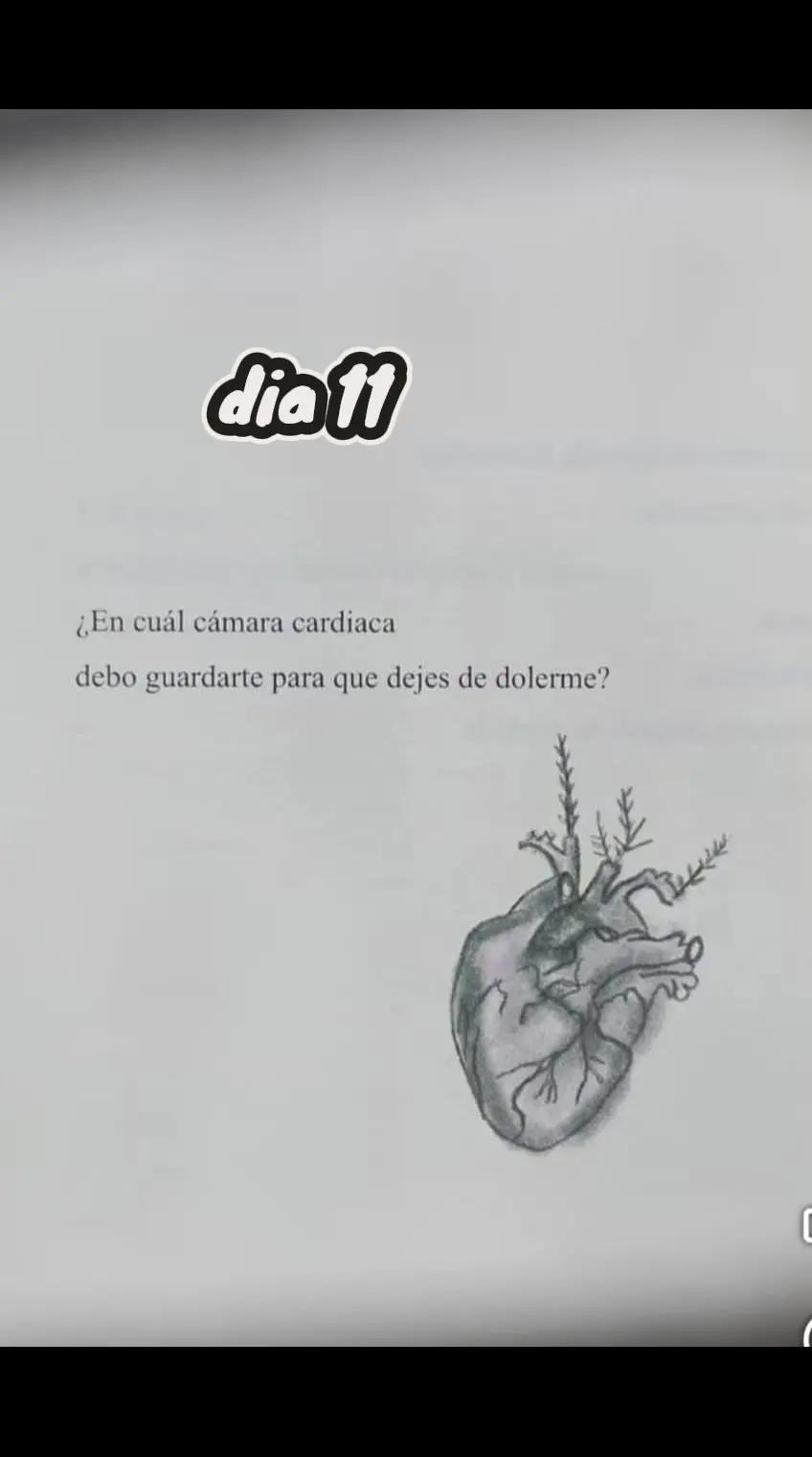 @Liina❤️