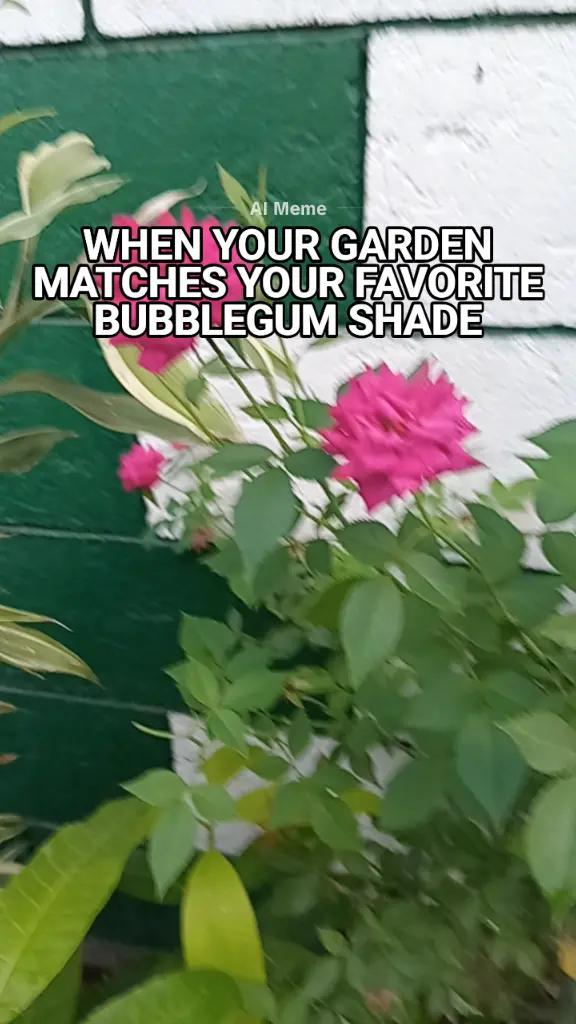 @merlejones