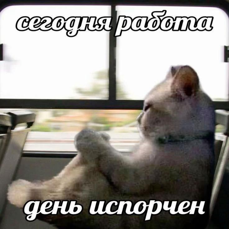 @женя мышь