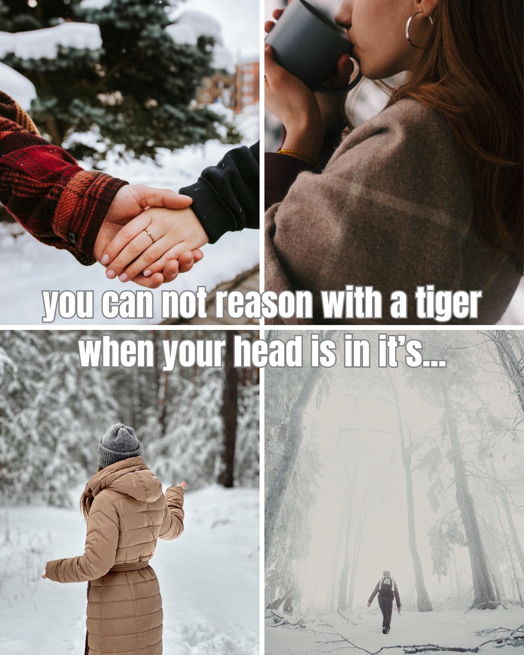 @Noelle Everly || Author