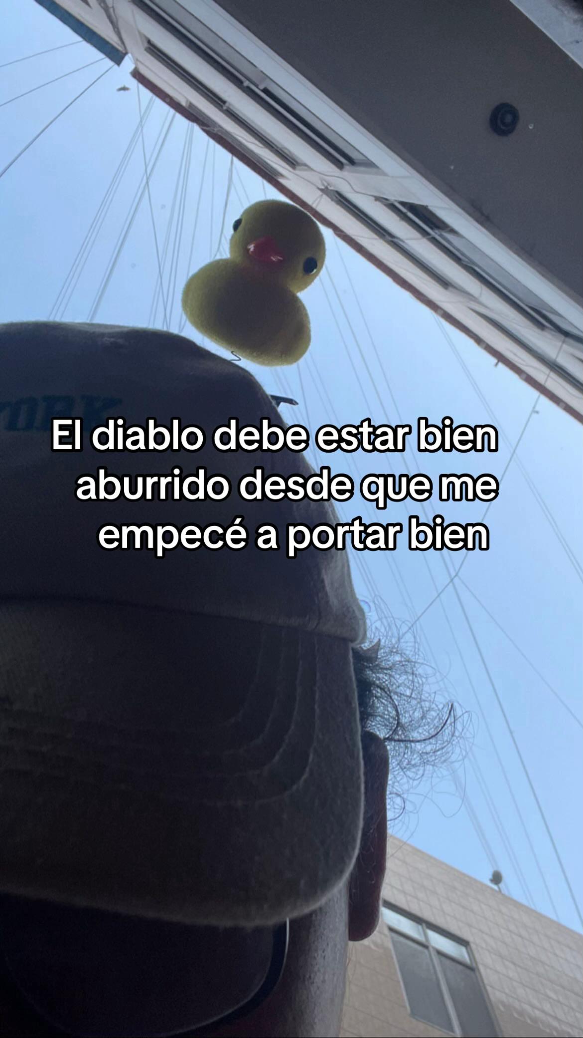 @Pardo