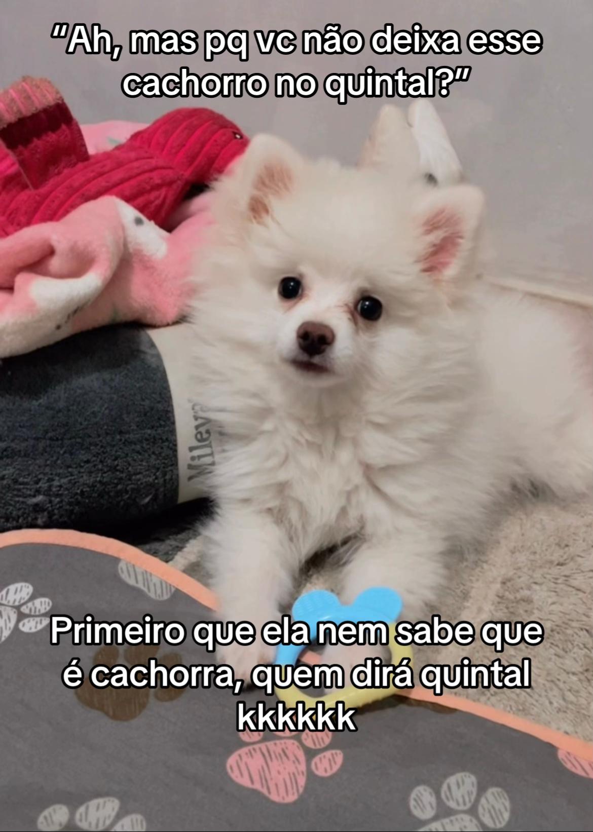 @Evelyn Castelli