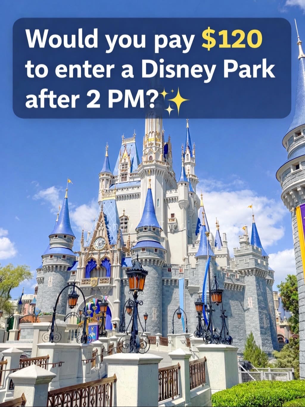 @Disney Trip&Tips With Tiny