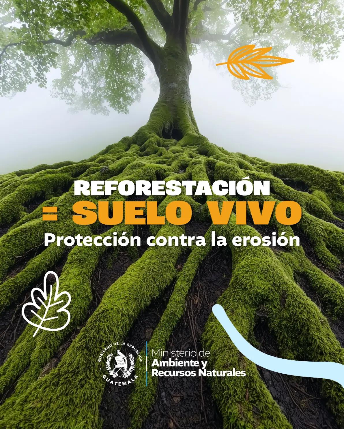 @Ministerio de Ambiente GT