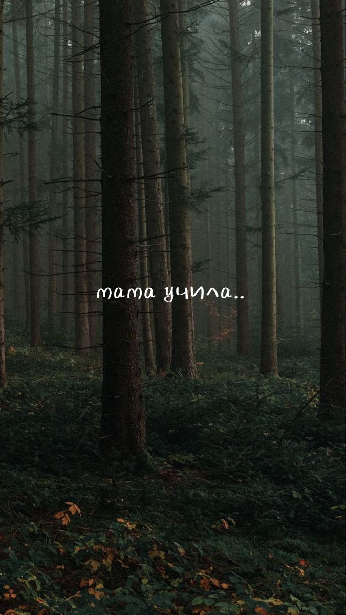 @svetik🤪😎💗
