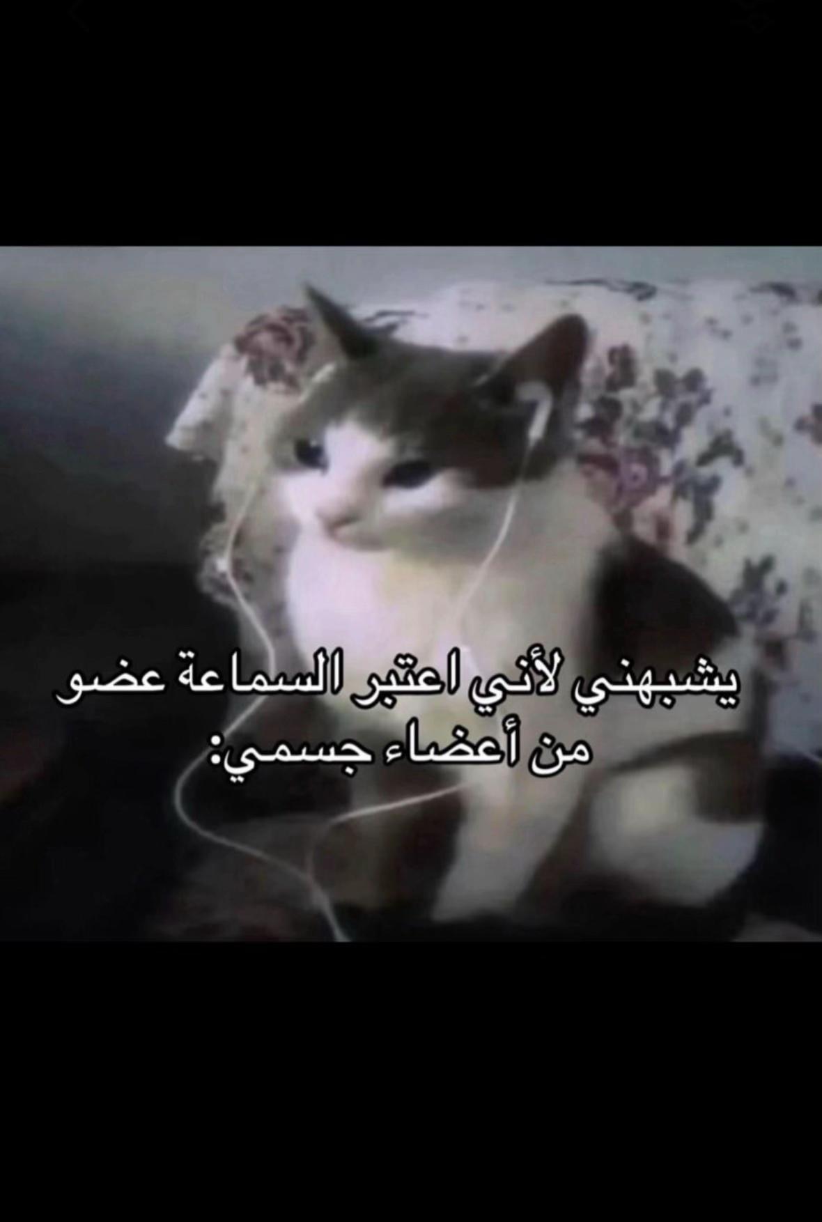 @سَـــــراب 😢♡.