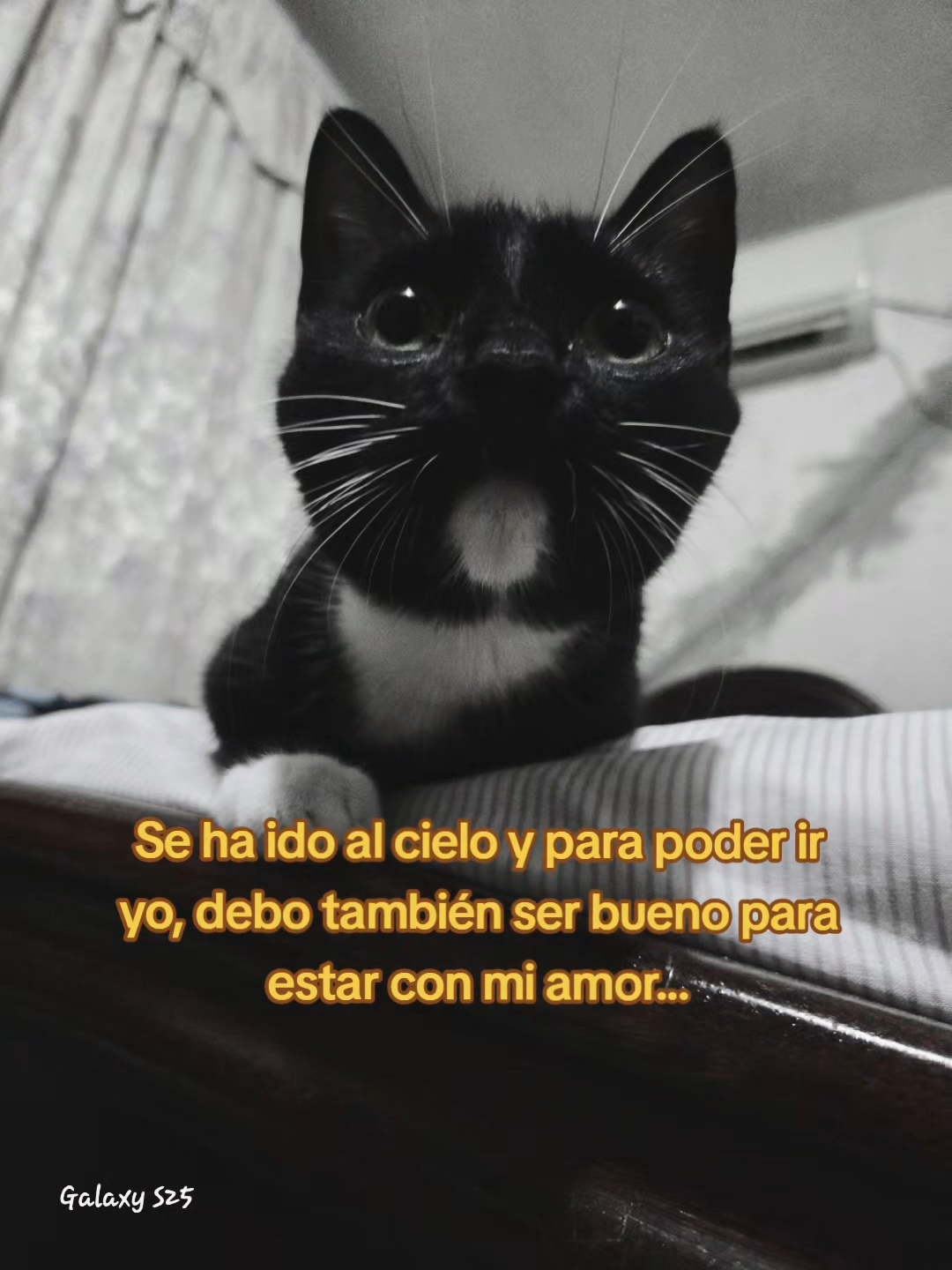 @Gabriela M.🪼