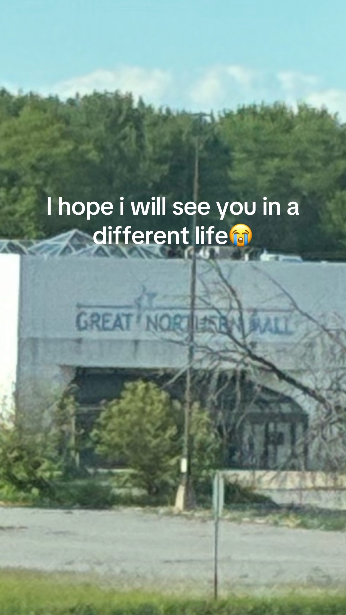 @Diva