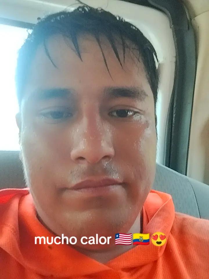 @wladimir
