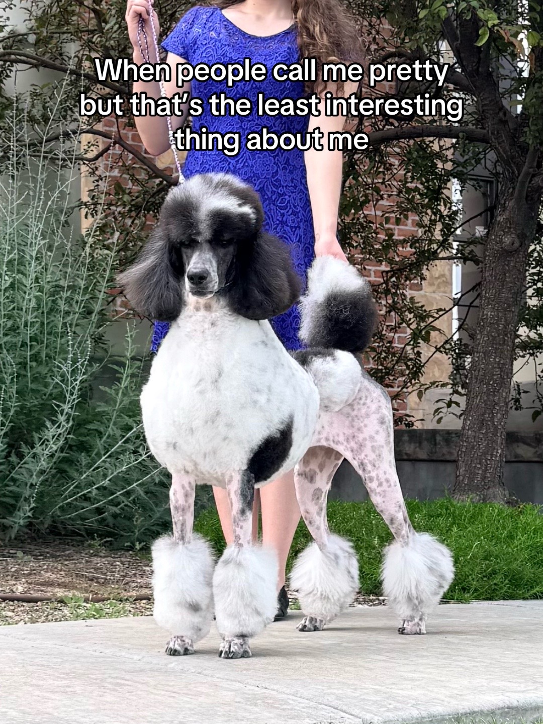 @Emmabelle + Poods 🐩🤍